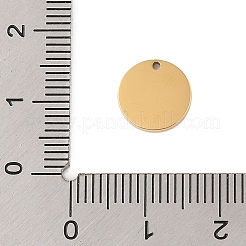 304 Stainless Steel Charms&nbsp;STAS-P377-04G-B