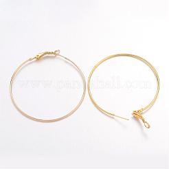 Iron Jewelry Hoop Earrings&nbsp;IFIN-C045-49x1-G