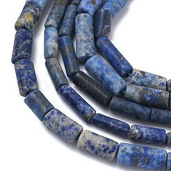 Natural Lapis Lazuli Beads Strands&nbsp;G-L650-L01-01