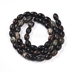 Natural Biotite Beads Strands&nbsp;G-N346-02B-02