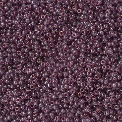MIYUKI Round Rocailles Beads&nbsp;SEED-JP0008-RR2448