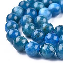 Natural Apatite Beads Strands&nbsp;G-O186-E02-8mm