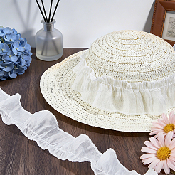 Polyester Lace Ribbon&nbsp;SRIB-NB0001-22A