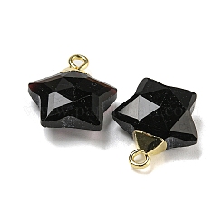 Natural Obsidian Pendants&nbsp;G-P540-01G-11