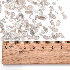 Natural Labradorite Beads&nbsp;G-O103-22