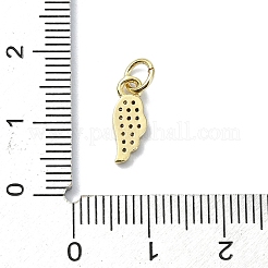 Brass Micro Pave Clear Cubic Zirconia Charms&nbsp;KK-H475-53G-01