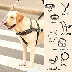 4Pcs 4 Colors Polyester Cord Braided Dog Harness Collar Leash Connector&nbsp;AJEW-GO0001-38
