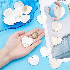 20Pcs Freshwater Shell Pendants&nbsp;SHEL-SC0001-19