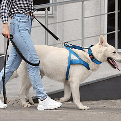 4Pcs 4 Colors Polyester Cord Braided Dog Harness Collar Leash Connector&nbsp;AJEW-GO0001-38