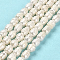 Natural Cultured Freshwater Pearl Beads Strands&nbsp;PEAR-E016-083