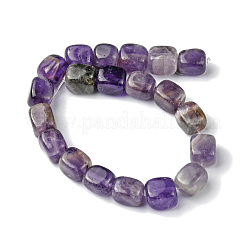 Natural Amethyst Beads Strands&nbsp;G-F743-02T