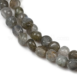Natural Labradorite Beads Strands&nbsp;G-Q060-B02
