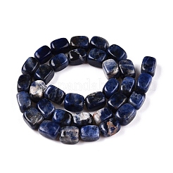 Natural Sodalite Beads Strands&nbsp;G-T138-107