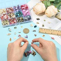 165G 12 Styles Dyed Natural Freshwater Shell Chips Beads&nbsp;SHEL-FS0001-20