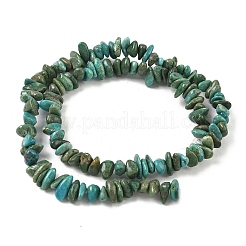 Dyed Natural Magnesite Beads Strands&nbsp;G-M448-D01-01