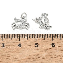 SHEGRACE Brass Micro Pave Cubic Zirconia Pendants&nbsp;XGRQ3D168-456P