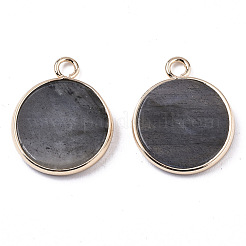 Natural Labradorite Pendants&nbsp;G-N326-29A