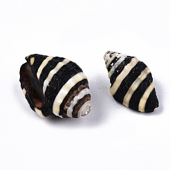 Natural Spiral Shell Beads&nbsp;SSHEL-T014-06
