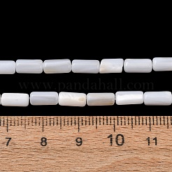 Natural Freshwater Shell Beads Strands&nbsp;SH-CBA2978-21B