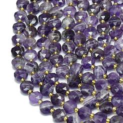 Natural Amethyst Beads Strands&nbsp;G-C116-A46-02B