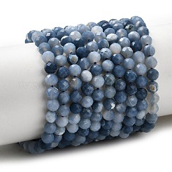 Natural Blue Opal Beads Strands&nbsp;G-P603-C-4mm-04