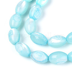 Natural Trochus Shell Beads Strands&nbsp;SHEL-K006-19-01B