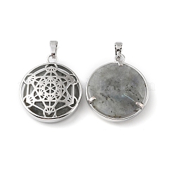Natural Labradorite Pendants&nbsp;G-P498-04P-23