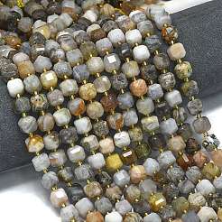 Natural Bamboo Leaf Agate Beads Strands&nbsp;G-K389-A33-01