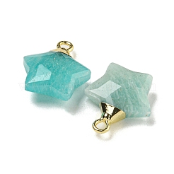 Natural Amazonite Pendants&nbsp;G-P540-01G-03