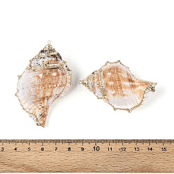 Natural Sea Shell Big Pendants with Golden Brass Edge&nbsp;BSHE-T014-19