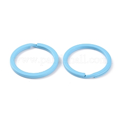 Spray-painted Iron Keychains Clasps&nbsp;IFIN-WH0063-13C