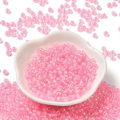Glass Seed Beads&nbsp;SEED-H002-L-A238