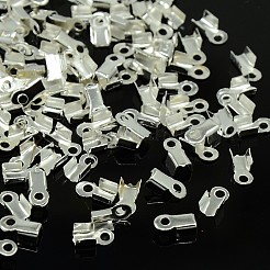 Iron Folding Crimp Ends&nbsp;E033Y-S