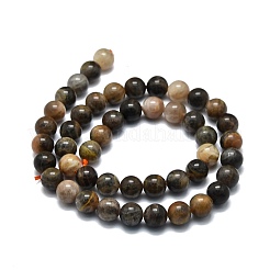 Natural Black Sunstone Beads Strands&nbsp;G-E576-01B
