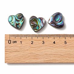 Abalone Shell/Paua Shell Beads&nbsp;SHEL-T005-01