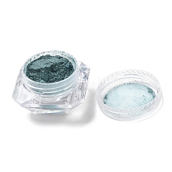 Nail Art Thermochromic Powder&nbsp;AJEW-B022-08