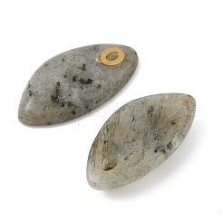 Natural Labradorite Pendants&nbsp;STAS-P380-80G-03