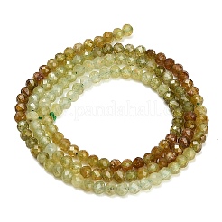 Natural Green Garnet Beads Strands&nbsp;GG-CBA77FB-B11-3mm
