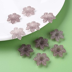 Transparent Acrylic Beads&nbsp;MACR-S373-117-D11