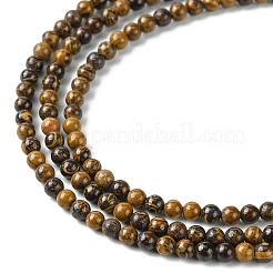 Natural Miriam Stone Beads Strands&nbsp;G-K365-C02-01