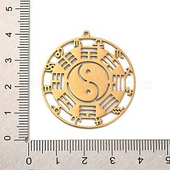 304 Stainless Steel Pendants&nbsp;STAS-D050-01G