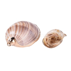 Electroplate Natural Spiral Shell Pendants&nbsp;SSHEL-Q100-35G