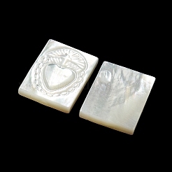 Carved Natural White Shell Cabochons&nbsp;SSHEL-N038-07-02