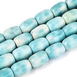 Dyed Natural Agate Beads Strands&nbsp;G-T144-51A-01