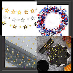 100G PET Paillette/Sequins Pendants&nbsp;KY-CY0001-24A