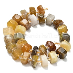 Natural Botswana Agate Beads Strands&nbsp;G-L642-H11-01