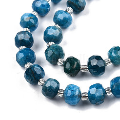 Natural Apatite Beads Strands&nbsp;G-N327-08D