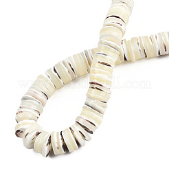 Natural Trochus Shell Beads Strands&nbsp;SSHEL-N034-163A