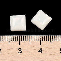 Opaque Resin Decoden Cabochons&nbsp;CRES-I036-13A