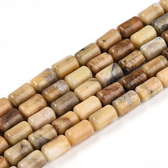 Natural Yellow Opal Beads Strands&nbsp;G-N346-01B-08